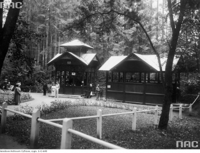 Historia Truskawiec i okolice