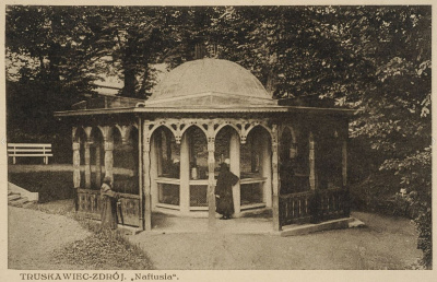 Historia Truskawiec i okolice