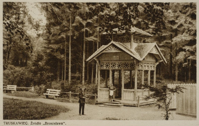 Historia Truskawiec i okolice