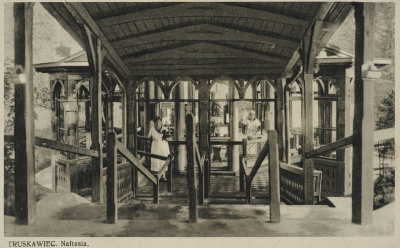 Historia Truskawiec i okolice