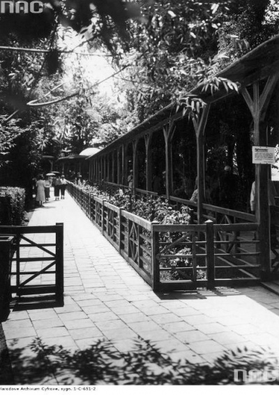 Historia Truskawiec i okolice