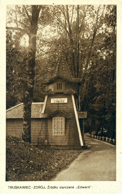 Historia Truskawiec i okolice